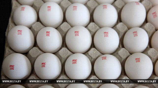 птицефабрика Городок, яйца с социальной рекламой, МЧС