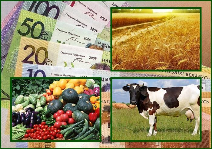 сельское хозяйство, Беларусь, рентабельная отрасль, экономика, госинвестиции