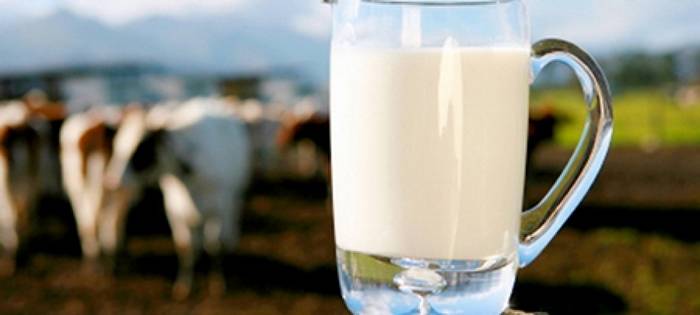 молоко, подсобные хозяйства, Казахстан, низкое качество