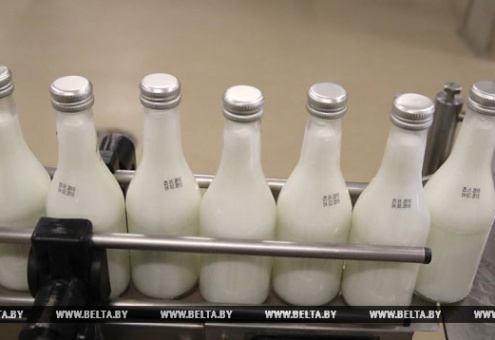 Кумыс и йогурты из кобыльего молока будут производить в Логойском районе
