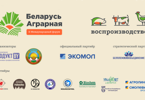 Форум «Беларусь аграрная». В фокусе — воспроизводство