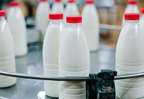 Европейский парламент проголосовал за добровольную программу сокращения объема производства молока