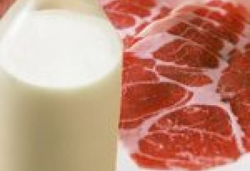 Беларусь намерена отстаивать качество мясо-молочной продукции в Суде ЕврАзЭС