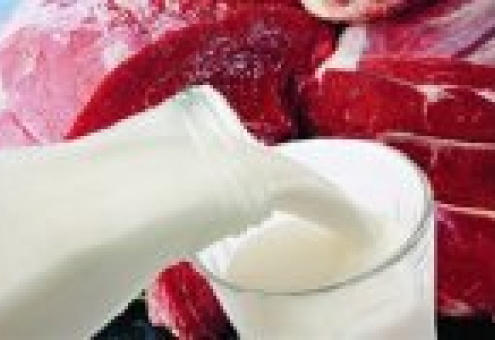 Молочный и мясной техрегламенты вступил в силу в Таможенном союзе с 1 мая