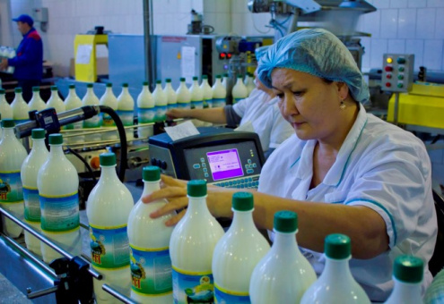 Молочная промышленность Казахстана получит новое мобильное приложение