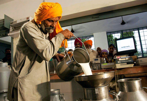 Правительство Индии инвестирует $1,7 млрд в развитие молочной отрасли