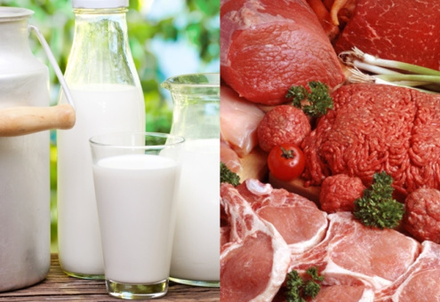 Россия недополучила белорусского молока и мяса примерно на $375 млн