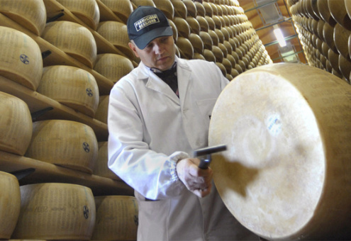 Мировая торговля сыром в 2015 году стабилизировалась на уровне 2,2 млн. тонн