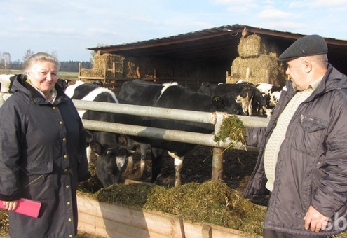 В Беларуси строят фермы из соломы