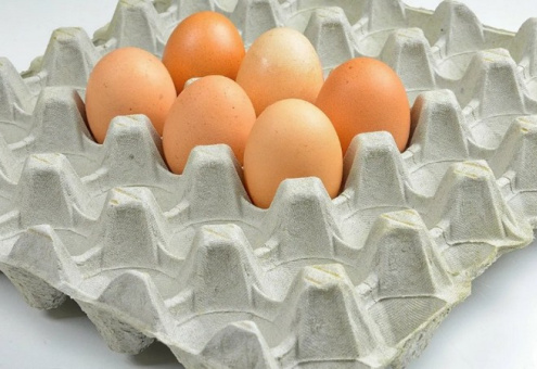 Европейцы могут утеплять дома упаковками от яиц и ланч-боксами
