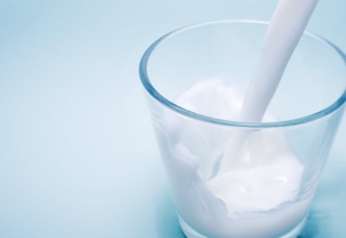 Экспорт молока и молокопродуктов за январь-ноябрь увеличился на 6,7 %