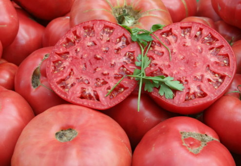 Совет ЕЭК предоставил временную тарифную льготу для обеспечения населения достаточным ассортиментом томатов