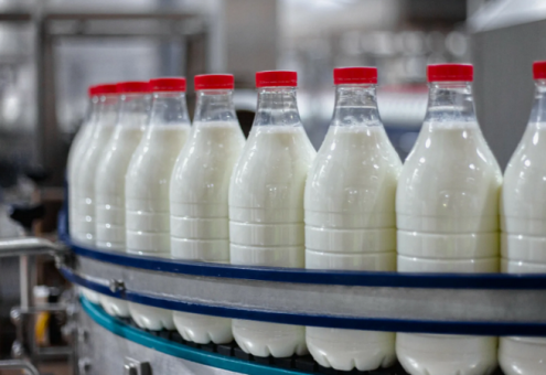 В Брестской области производство молока за январь выросло на 8,7 %