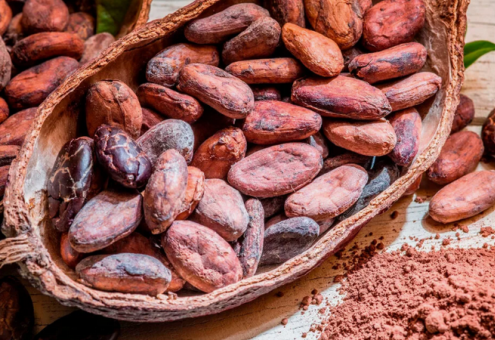 Еще больше пальмового масла? Как повышение цен на какао скажется на шоколаде