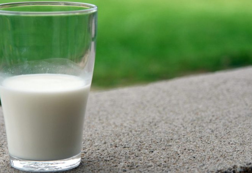 С полок сербских магазинов пропало молоко