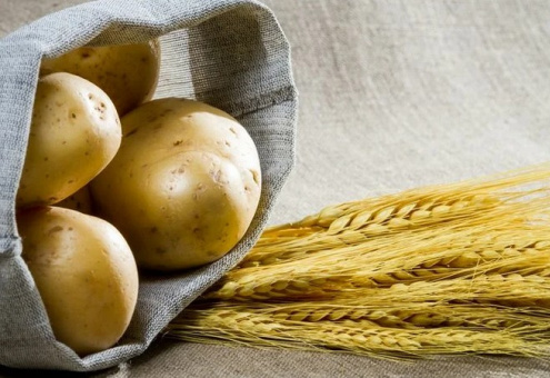 ЕАЭС занимает 3 место в мире по производству пшеницы, картофеля, животноводческой продукции