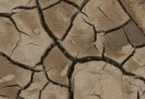 Засуха ударила по сельскому хозяйству Индии