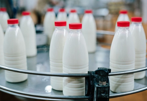 Украина в 2018 году сократит производство молока