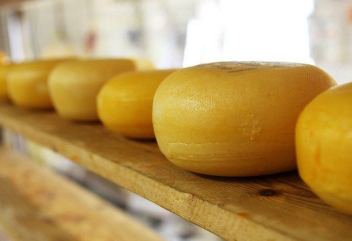 Экспорт сельхозпродукции: сыр в масле