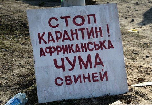 В Украине вспышка АЧС: введен карантин на территории 10 областей