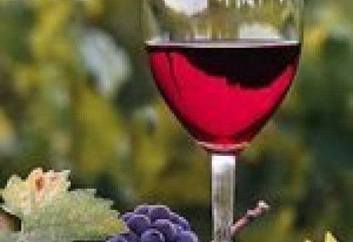 Новая Зеландия: экспорт вина достиг рекордной отметки