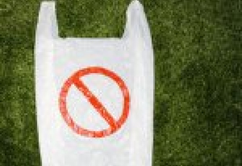 Испанские супермаркеты отказываются от пластиковых пакетов