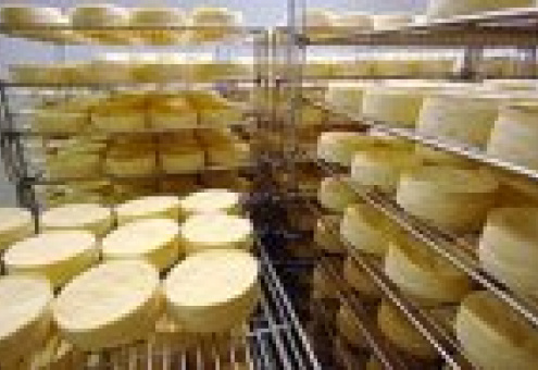 "Милкиленд" интересуется белорусским сыром