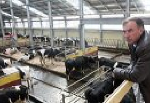 Инновационная молочно-товарная ферма работает в Несвижском районе