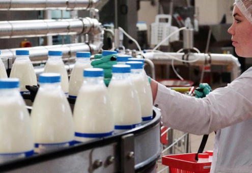 За 4 года импорт молока в Россию сократился на 20 %