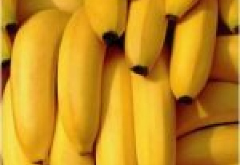 Maerskline  позаботится о свежести бананов