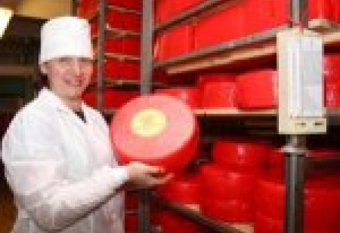 Мстиславский маслодельно-сыродельный завод в 2013 году увеличит выпуск твердых сыров в три раза
