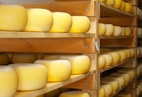 Минсельхоз: в 2016 году импортные поставки сыра уменьшились на 21,5%
