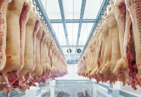 Топ-25 крупнейших производителей мяса в России за 2016 год