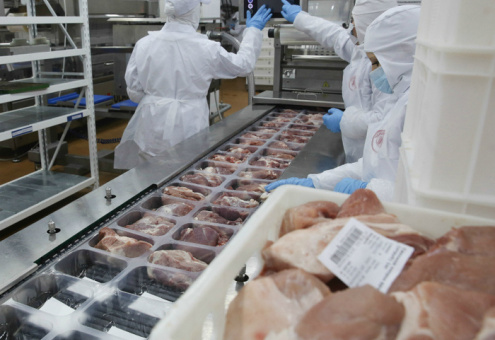В России в 2017 году промышленное производство мяса выросло на 7 %
