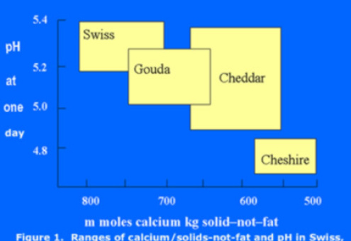 В чем причина различий между сырами?