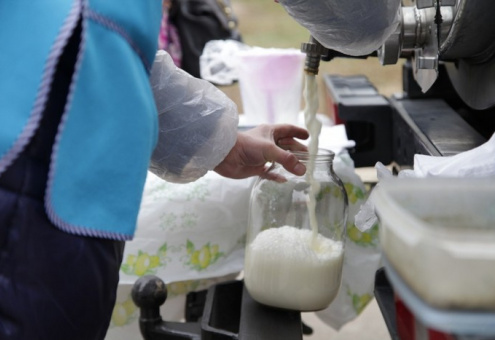 Фермерам Подмосковья разрешат торговать молоком в местах его производства
