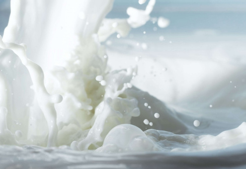 Росстандарт планирует снять ограничения срока действия ГОСТа на сырое молоко