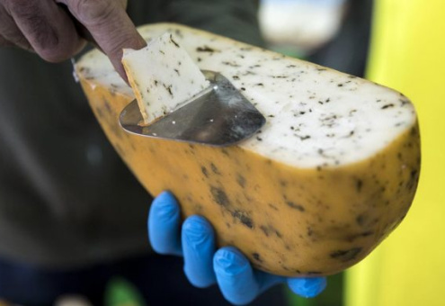 Египетский сыр: не самый старый, но самый лучший для анализа
