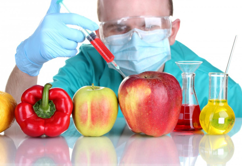 Гендиректор ФАО: в настоящее время ГМО не нужны, но их надо сохранить для будущего