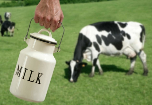 По какой цене закупают молоко ведущие молочные компании ЕС?
