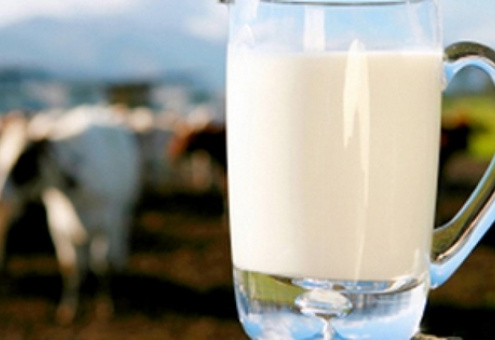 90% молока, сдаваемого подсобными хозяйствами Казахстана - некачественное