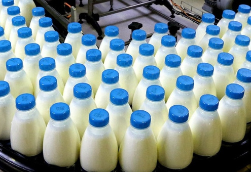 В 2017 году производство молока в ЕАЭС выросло на 800 000 тонн