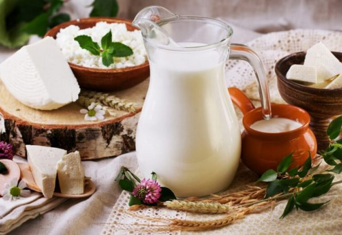 До 70 % импорта молочных продуктов в Россию — из Беларуси