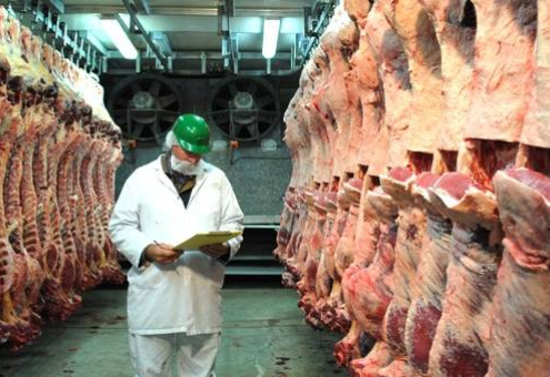 «Черкизово» и «Мираторг» раскрыли планы по экспорту мяса