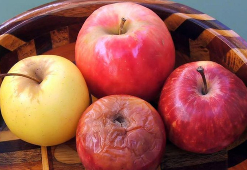 Израильские ученые решили проблему испорченных яблок