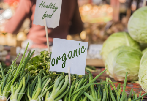 Рынок органической свежей продукции США: реалии, тенденции и прогнозы