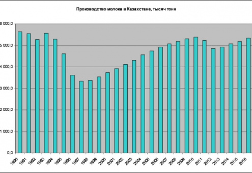 Казахстан: экспорт молока растет