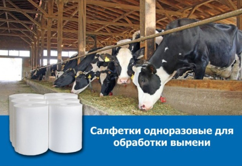 В Антополе выпустили влажные салфетки для коровьего вымени