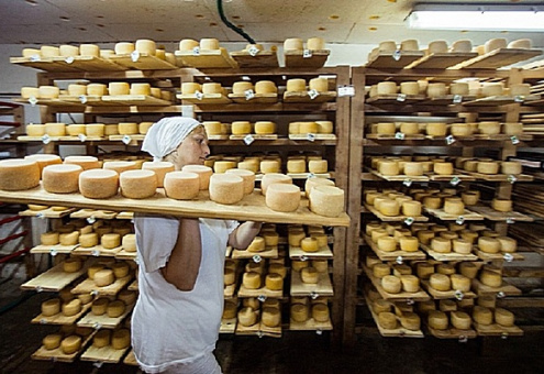 Производство сыра в России подорожало на 9,4%
