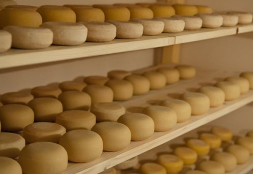 Беларусь входит в топ-5 стран-экспортёров сыра